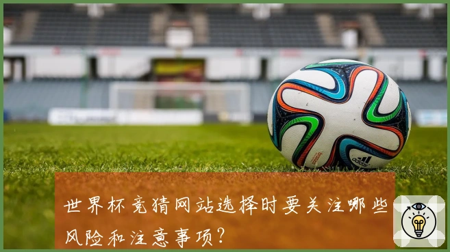 世界杯竞猜网站选择时要关注哪些风险和注意事项？