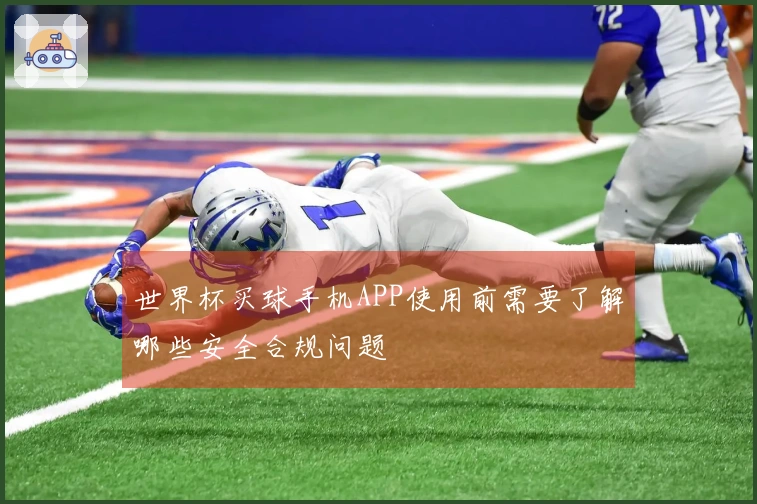 世界杯买球手机APP使用前需要了解哪些安全合规问题