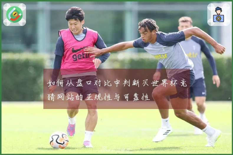 如何从盘口对比中判断买世界杯竞猜网站的正规性与可靠性