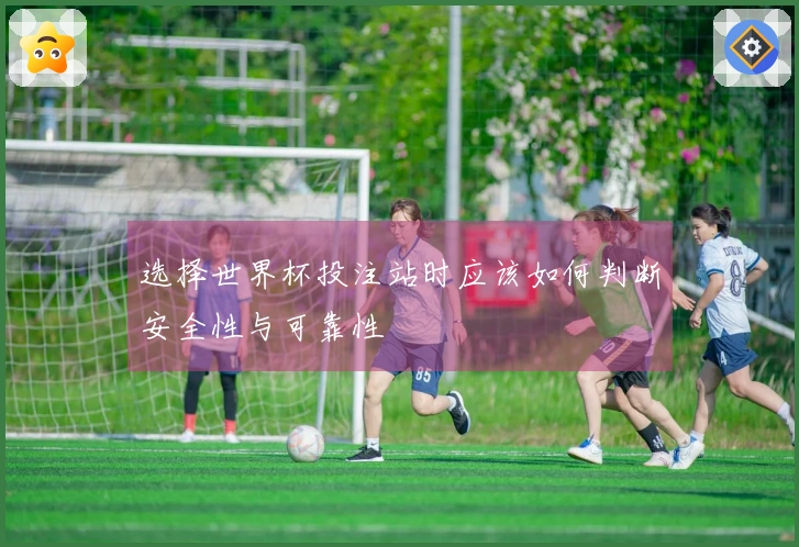 选择世界杯投注站时应该如何判断安全性与可靠性