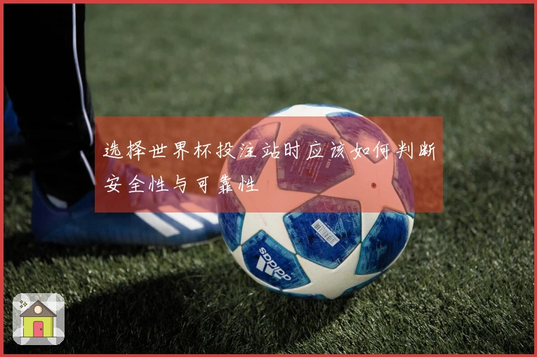 选择世界杯投注站时应该如何判断安全性与可靠性
